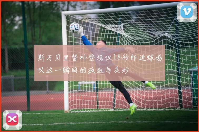 斯万贝里替补登场仅18秒即进球感叹这一瞬间的疯狂与美妙