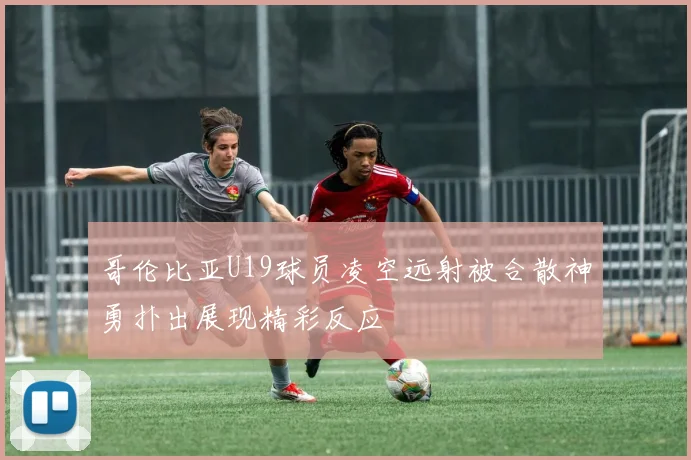哥伦比亚U19球员凌空远射被合散神勇扑出展现精彩反应